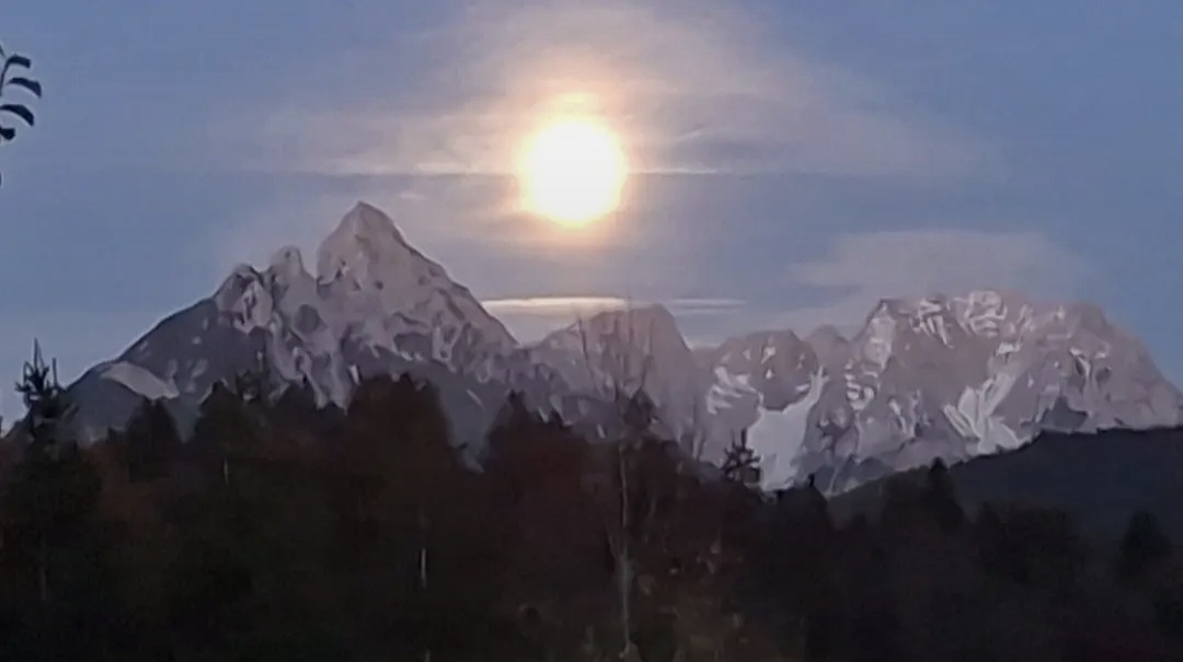 Screenshot 20251108 173306 Chrome