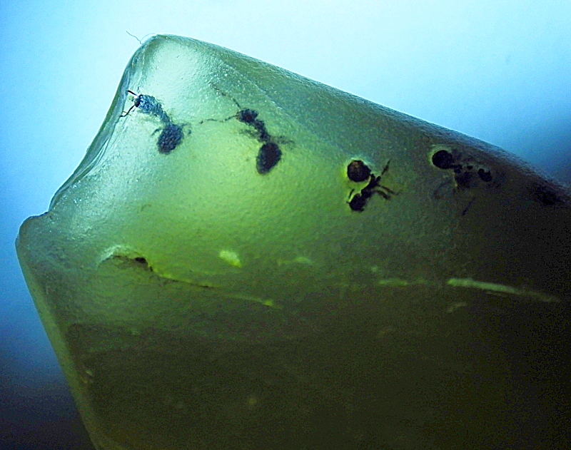 e39e5d0965d4  KK 9155