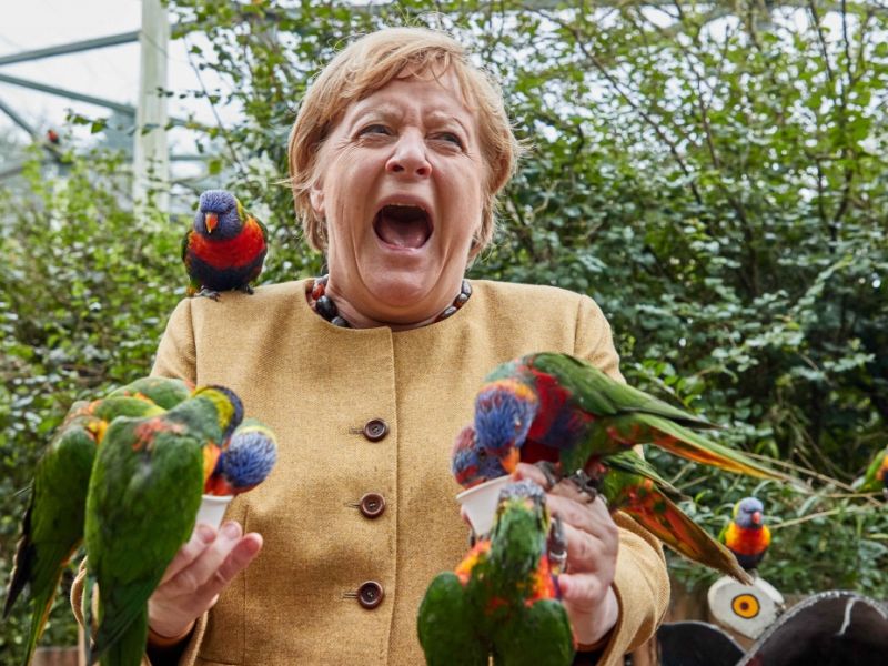 angela-merkel-vogelpark-malchow-loris 85