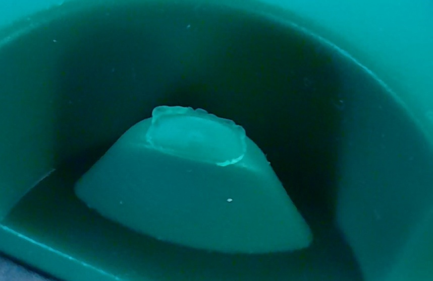 20250713 141129
