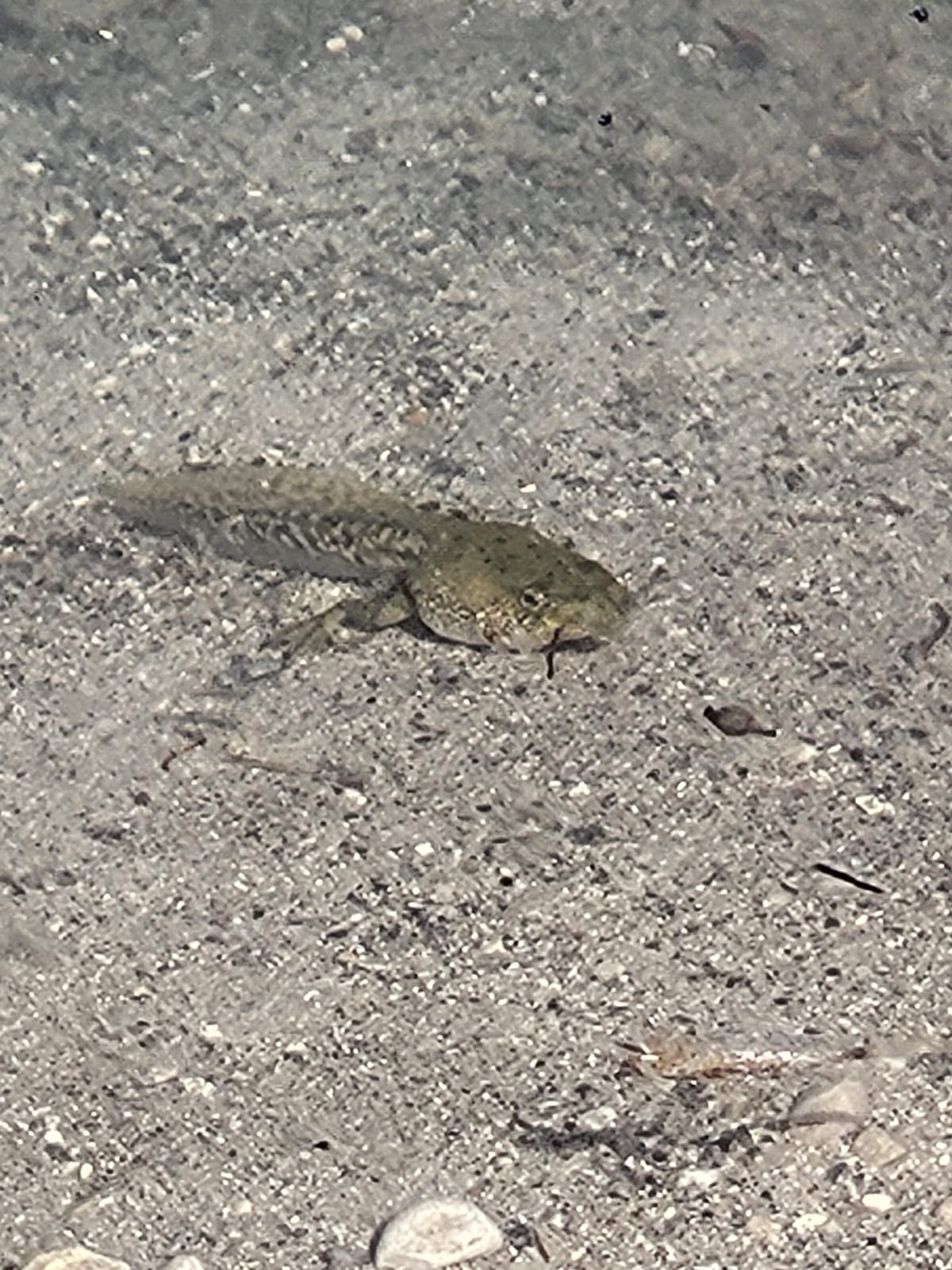 IMG-20260524-WA0004
