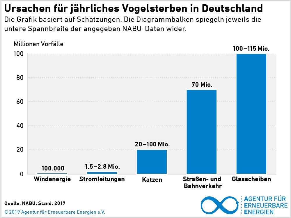 AEE Ursachen Vogelschlag 2019