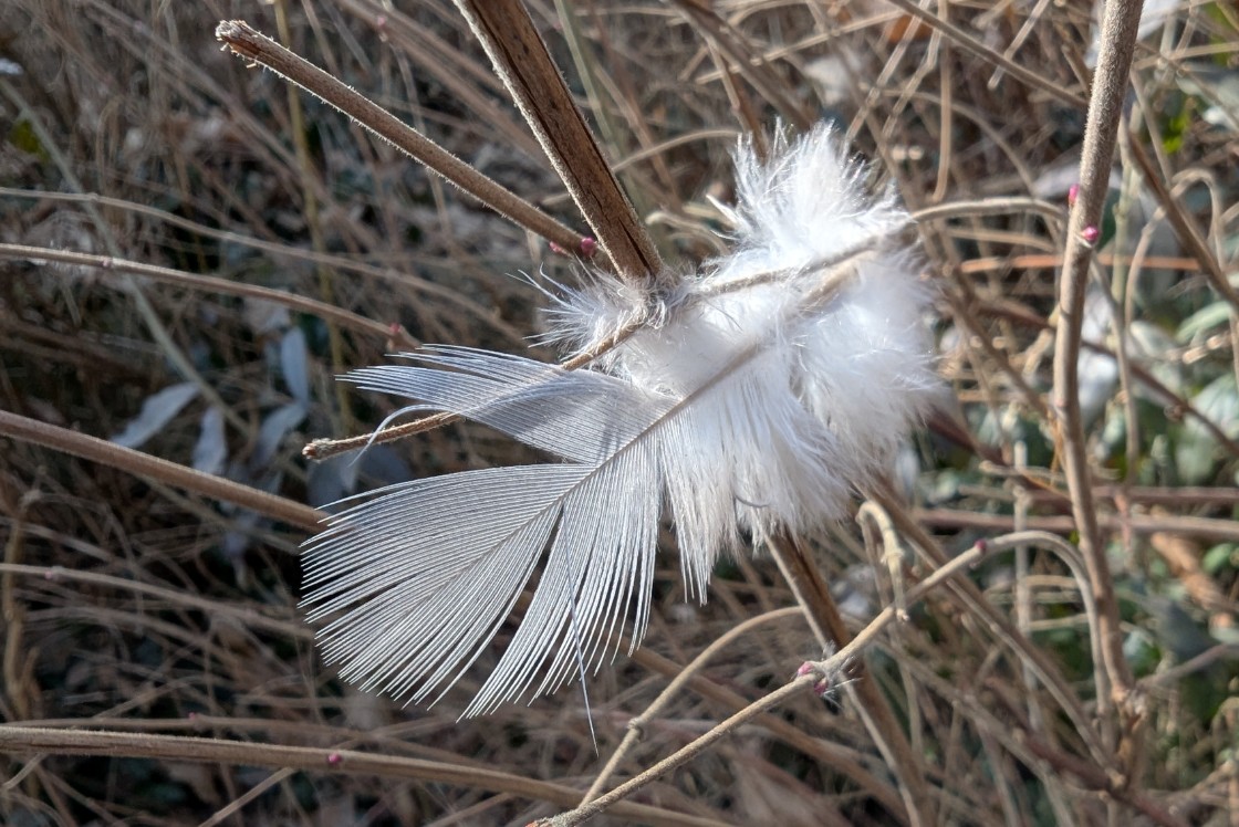 153f1d27-60aa-45fe-891c-eb8cccb79496