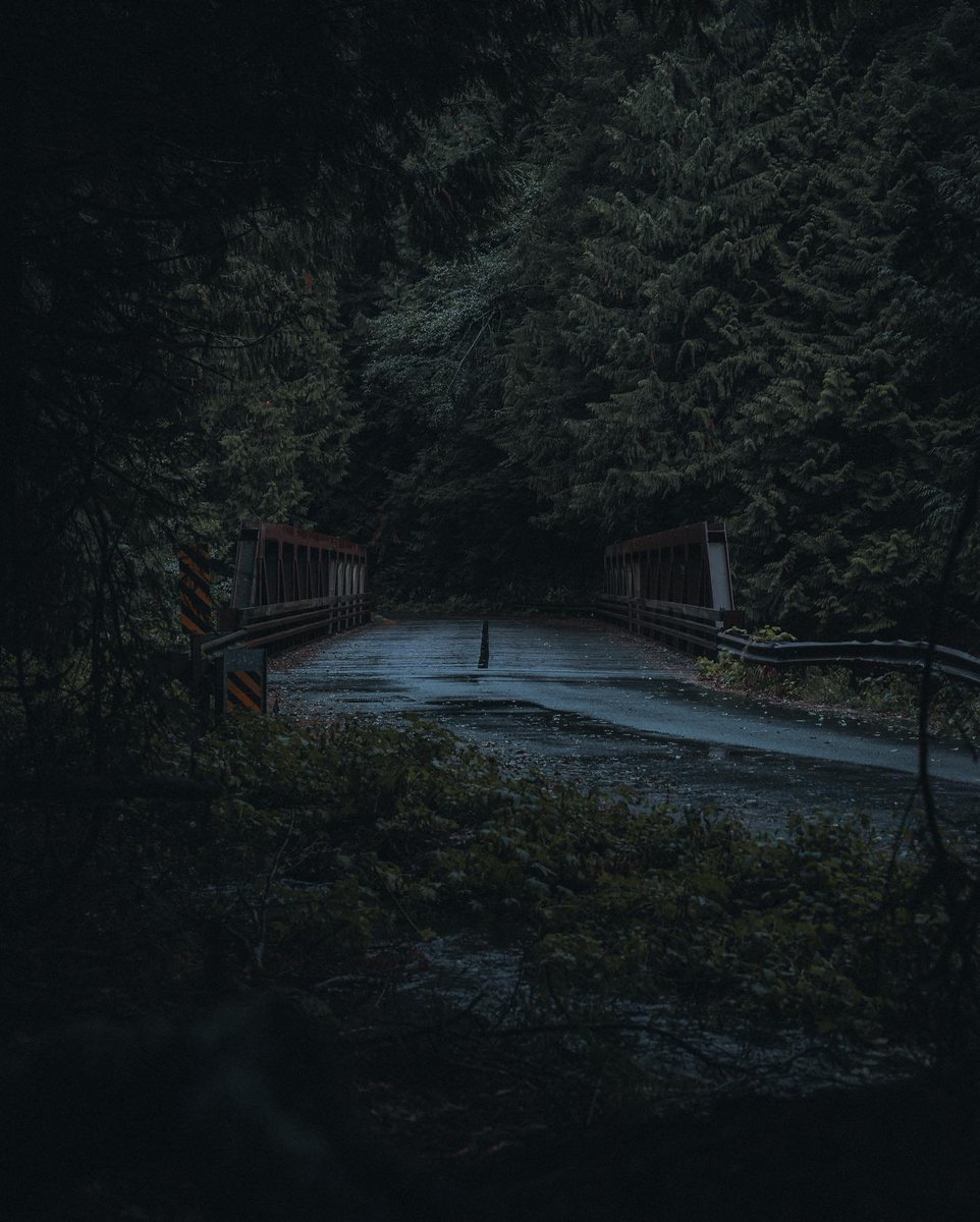 Twin Peaks country - Copy