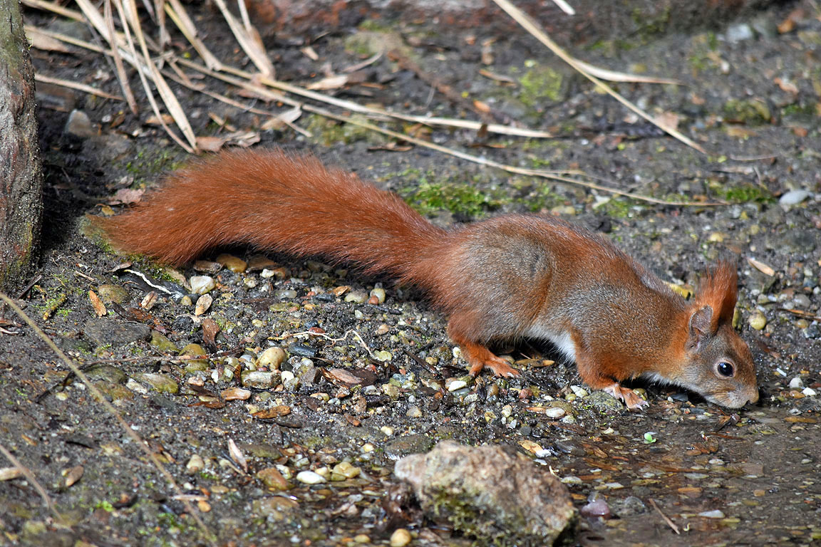 c08f4253-412b-4943-bfe3-207b03919188