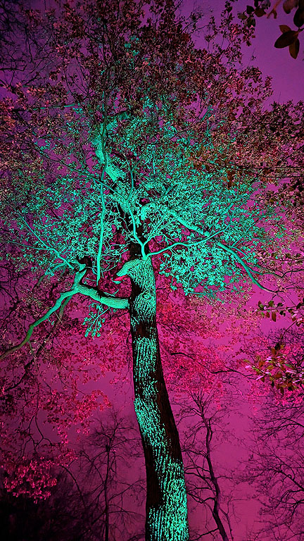 1fcd8d22-ffdd-416a-82cd-b112f5a8e58d