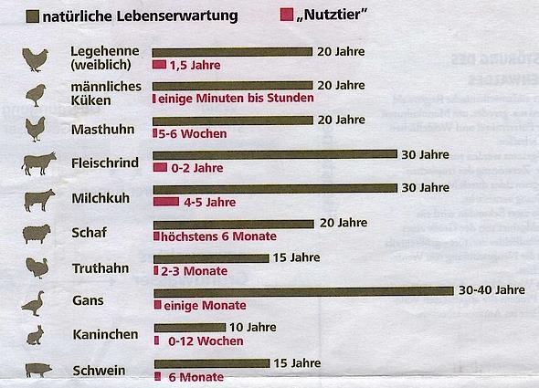 lebenserwartung20von20tieren