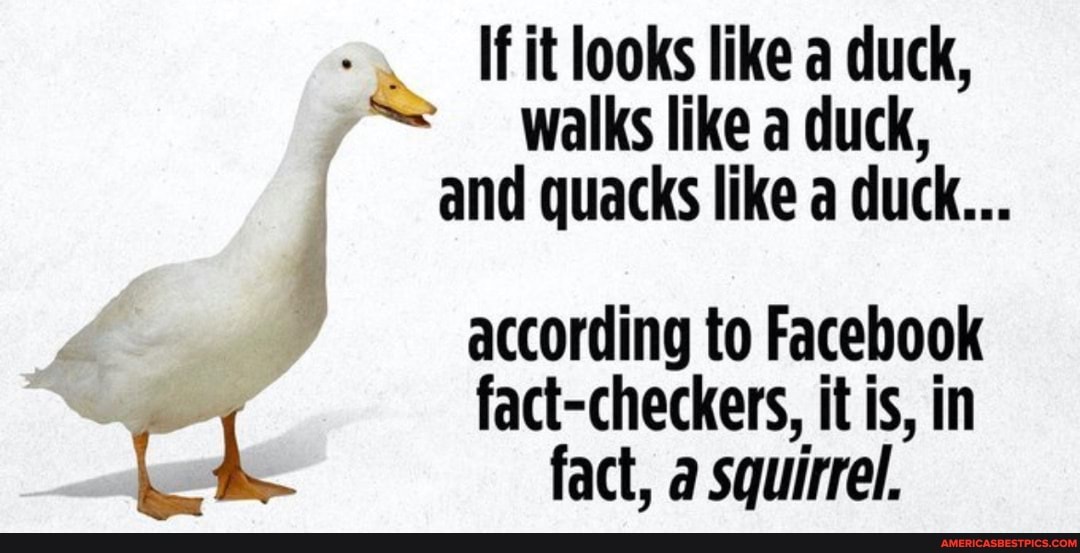 ente 1 - Copy