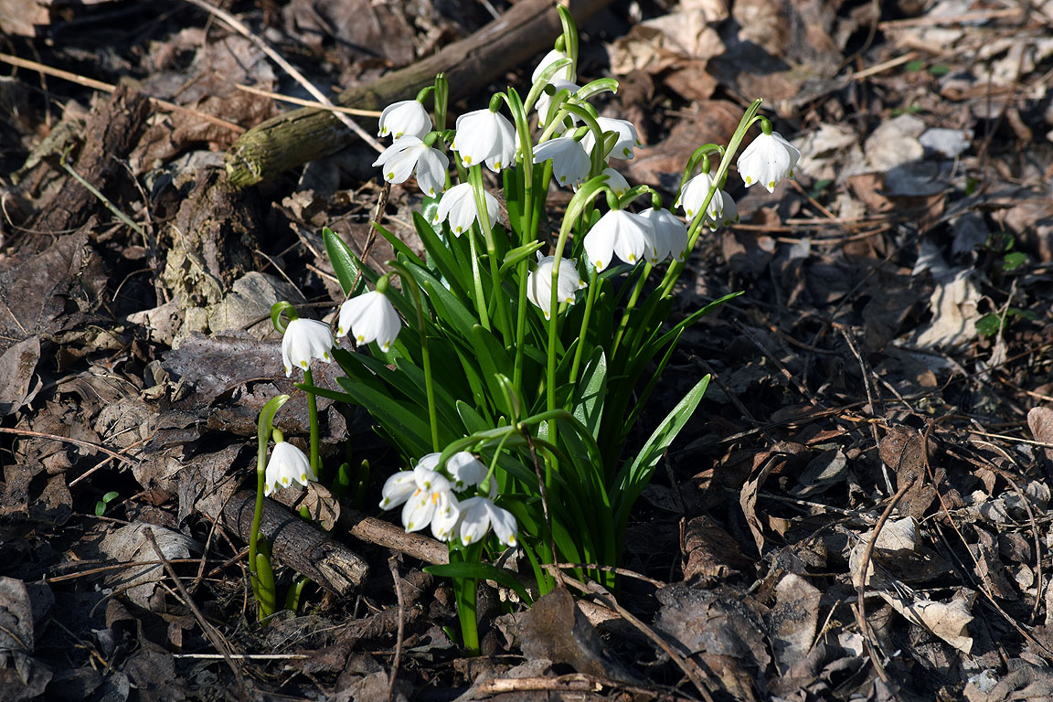 a7eaeb7e-02f9-4db0-8231-27441eab5e2c