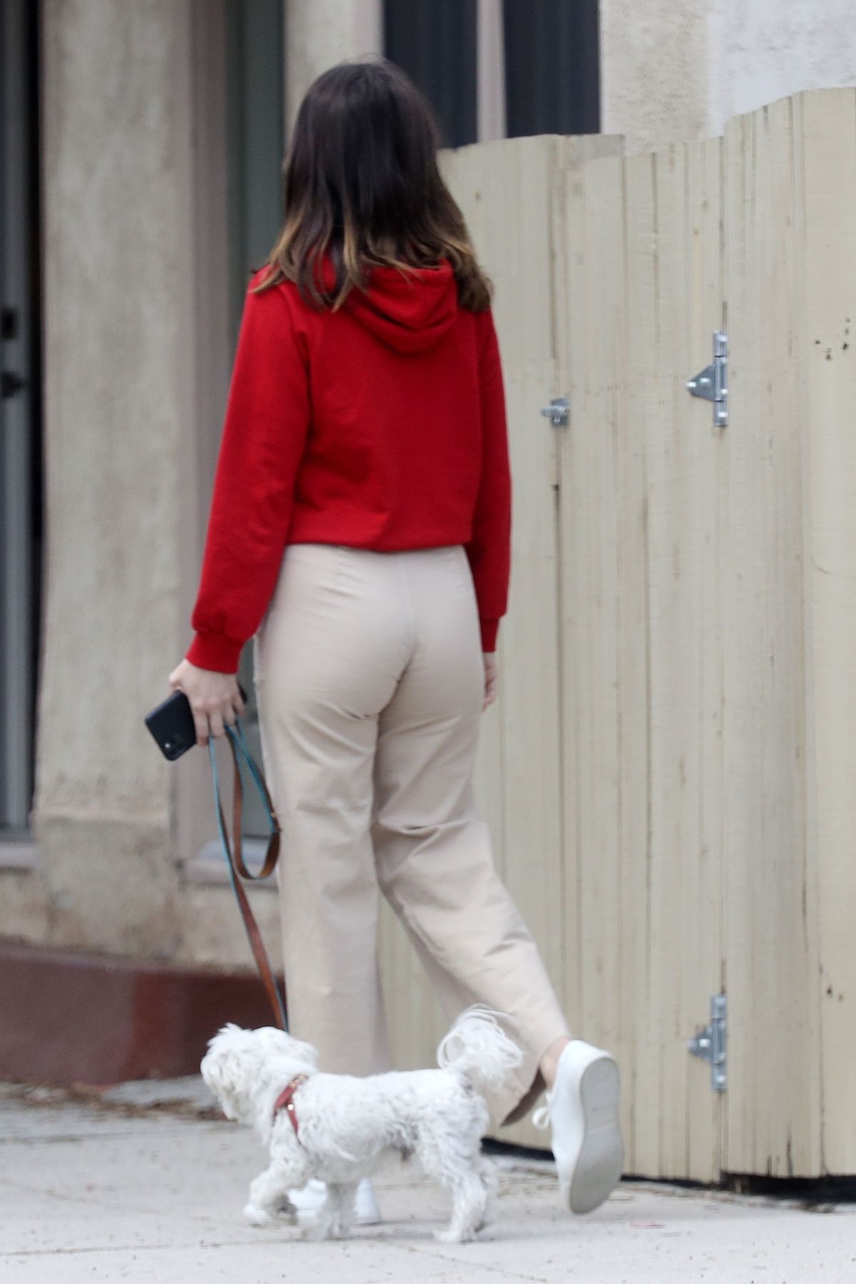 ana-de-armas-out-with-her-dog-in-pacific