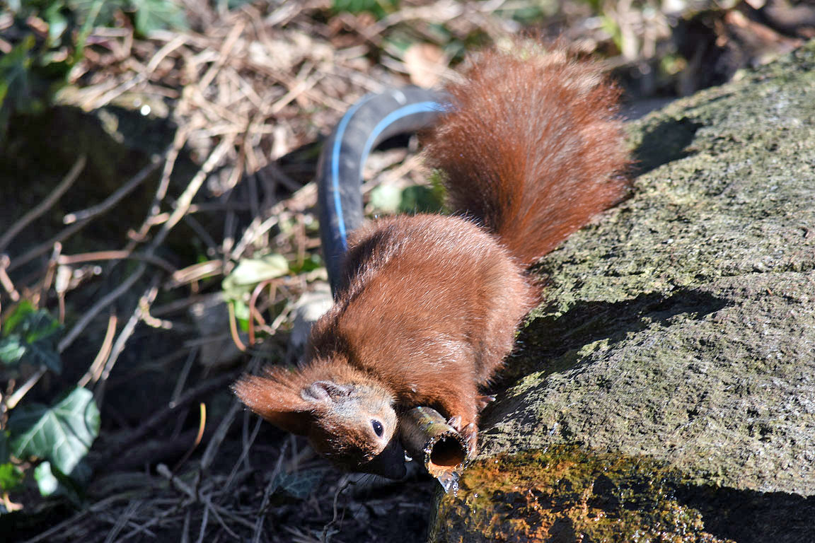 d403799a-be77-48f2-ab26-764ca6a796c8