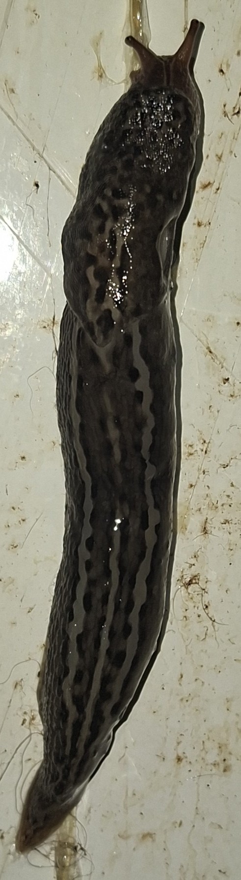 20260906 221659