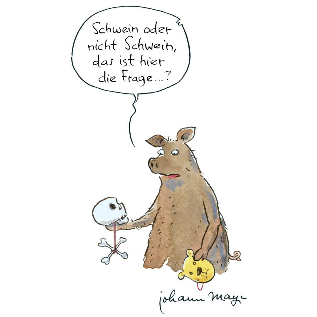 Schwein oder Nicht Schwein - Copy