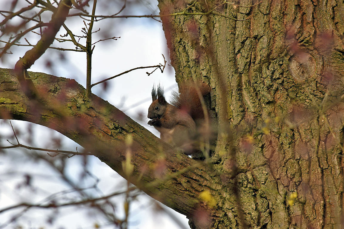 52885619-107f-437d-8f35-f4d806e47ac5