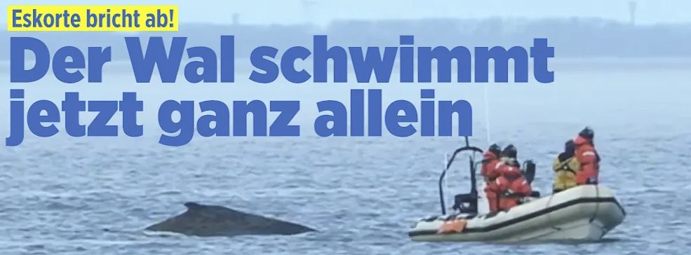 Mehr Wal wagen - Copy