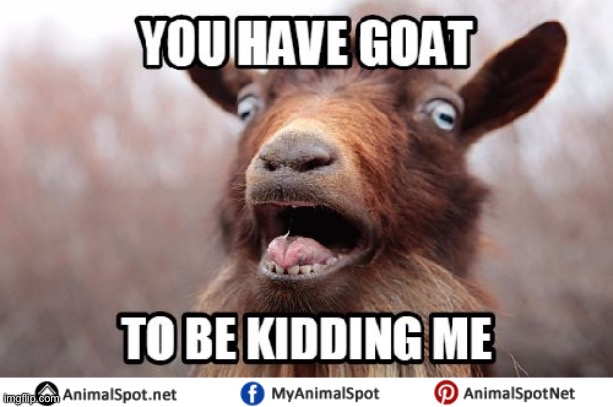 goat 2 - Copy