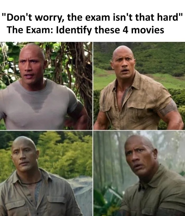1000038648