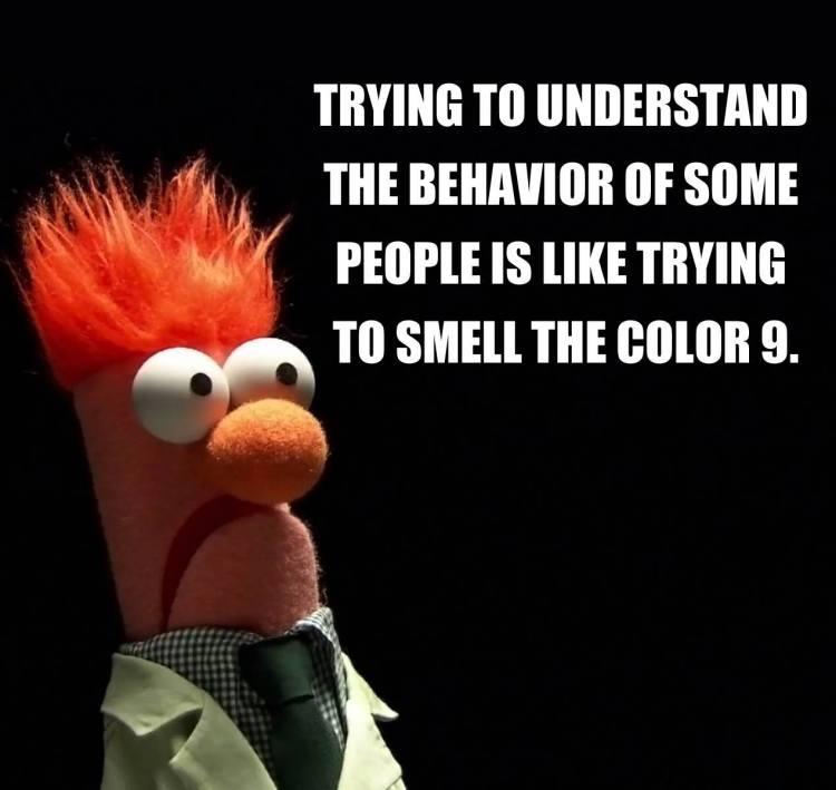 87270-Trying-To-Understand-The-Behavior-