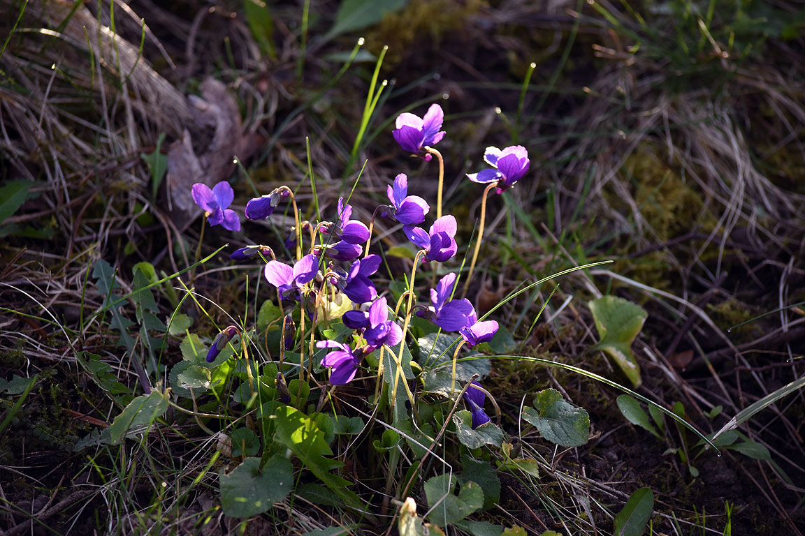 656e1404-1457-4157-aa20-039466eb48f9