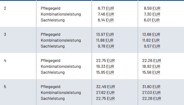 rente bersicht pflege