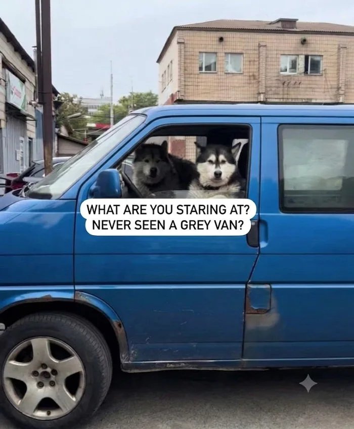 1000037019