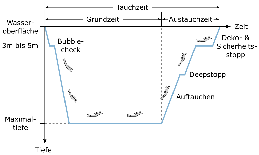 Tauchgangsprofil