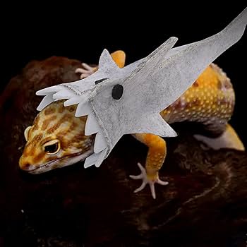 71XHboEOydL. AC UF350350 QL80 