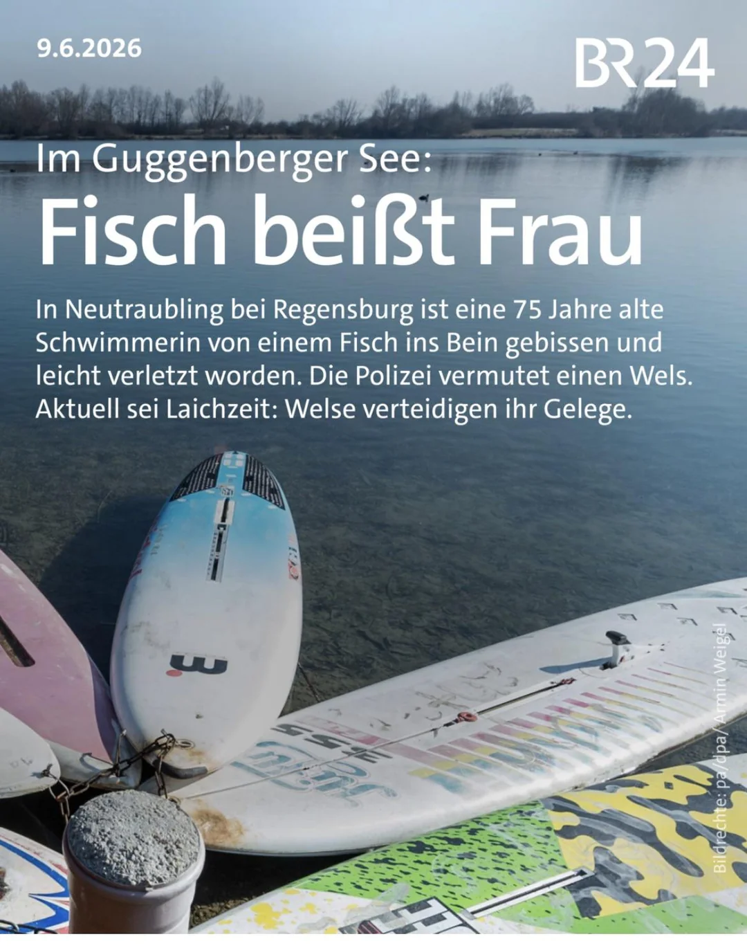 guggenheim wels - Copy.webp