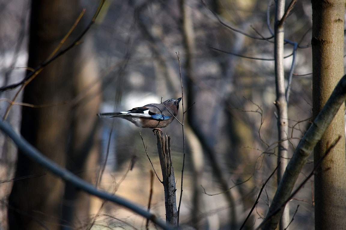 3165766f-8630-4966-98e0-4b56e123dd5c