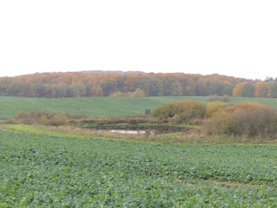 QK6ROWCZ2FCMNMGP7P7YNVBJOM