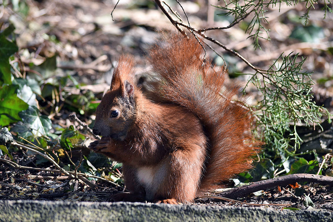 7deda93a-39ab-4a13-ac0d-9b94d8bf5779