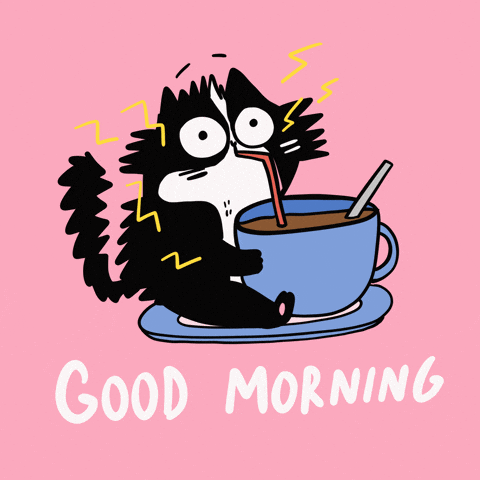 Good Morning Cat GIF by Franziska Hllbac