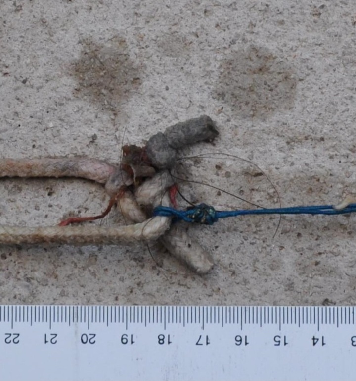 Screenshot 20251030-070307 Chrome