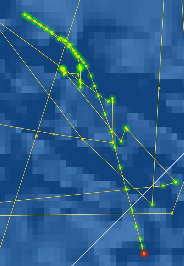 Screenshot 2026-01-17 171050