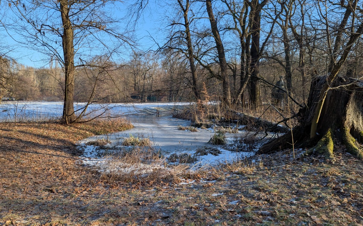 36c6a4a5-482e-40d2-bd3e-1bd6a4c2311f cop