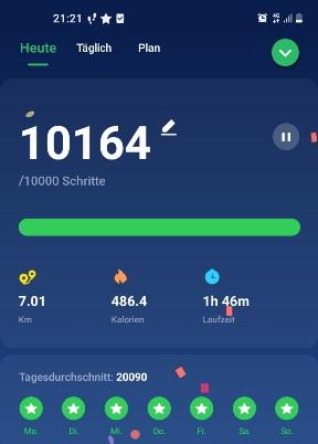 Screenshot 20211212-212147 Pedometer Ste