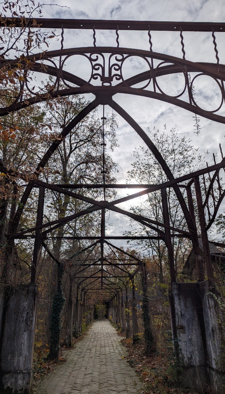 8e8e0a8f-bc3a-47a6-bf1b-db4c9d5bd26e cop