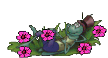 1Vo04Q8GXKNh