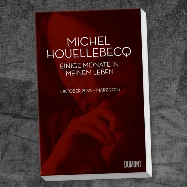 houellebecq130.webp
