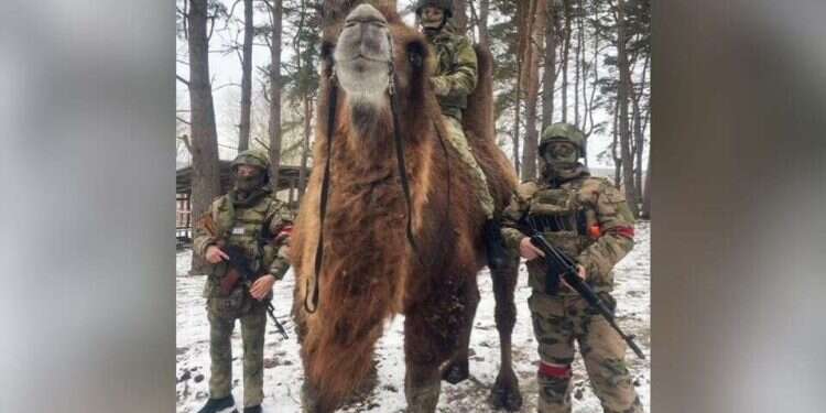 WhatsApp-Image-2025-10-28-at-10-750x375