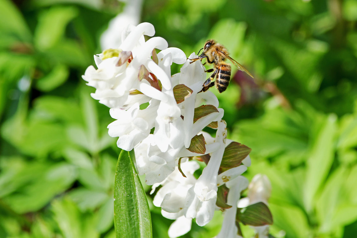 f2b0703f-9526-4e9a-b425-3e388c53fc87