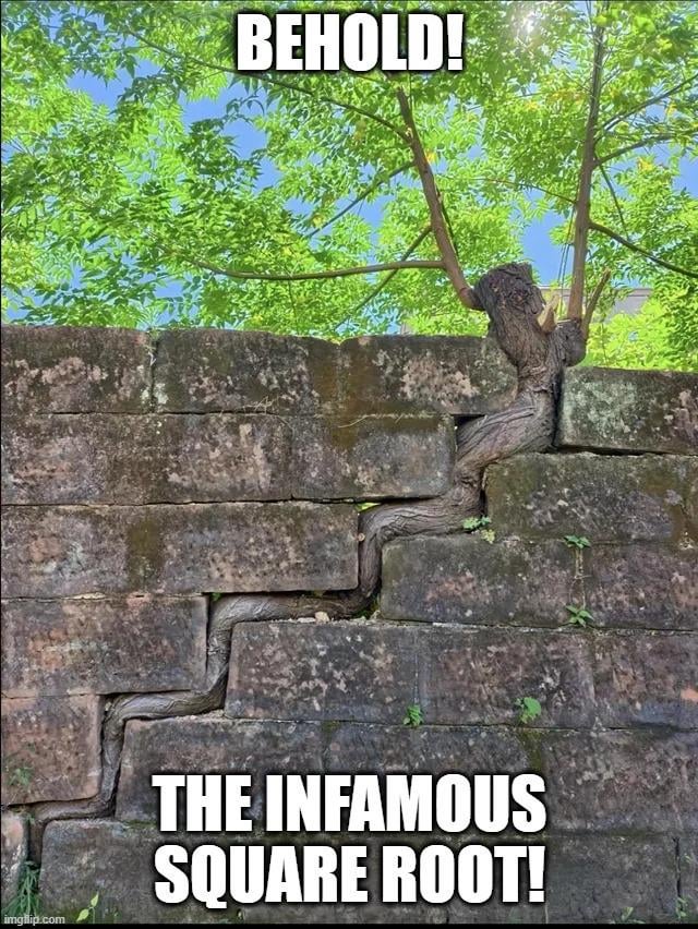funny-how-nature-always-the-one-thing-in