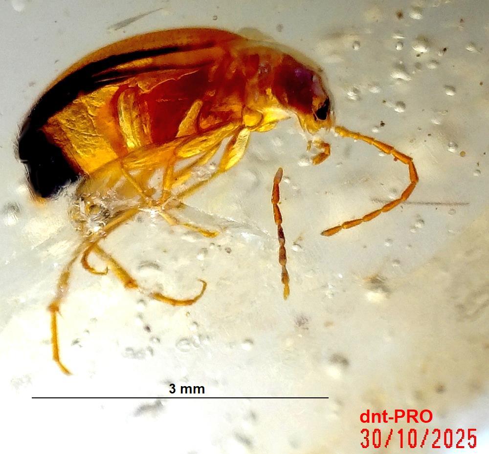 2025 1030 211225 001