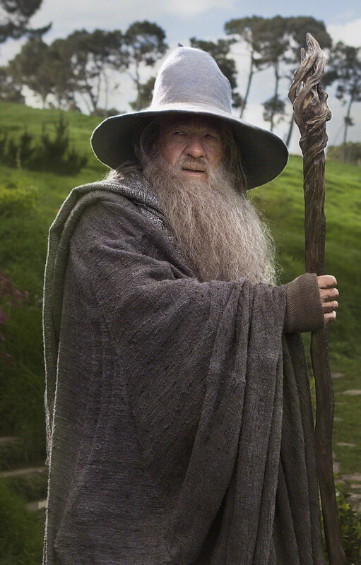 Gandalf in the Shire