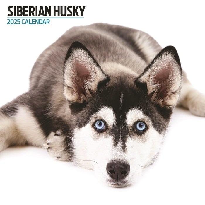 husky kalender - Copy