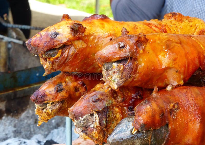 meerschweinchen-gekocht-auf-grill-ecuado