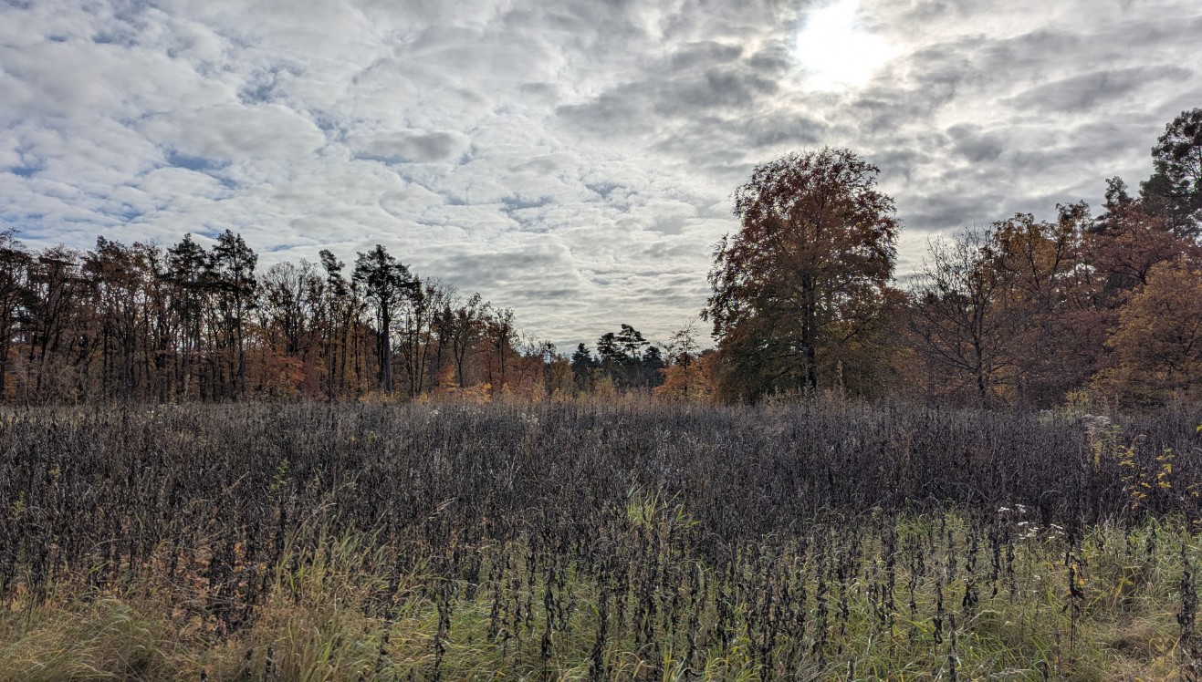 9281f4c8-3d12-45ec-8210-6b117c1b7967 cop