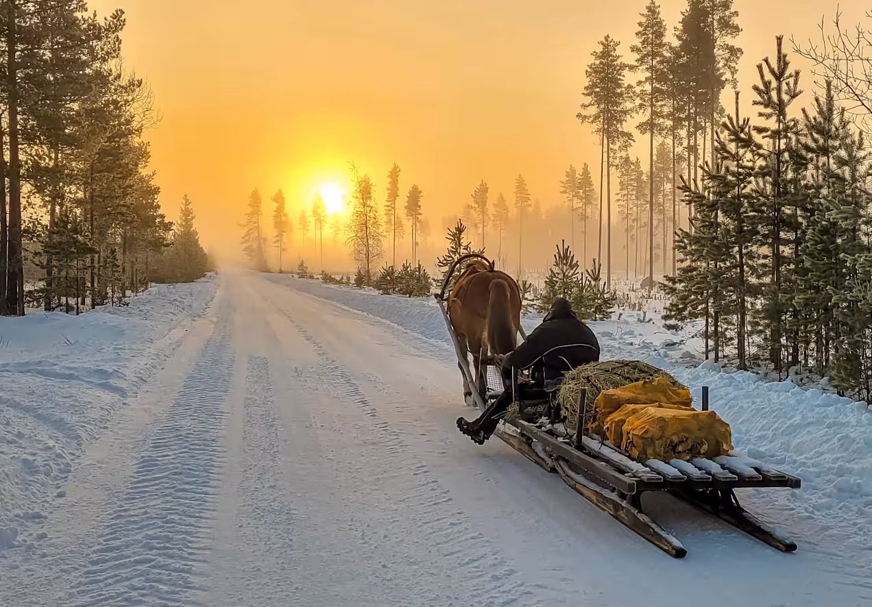 39-142781567c012b7caa49