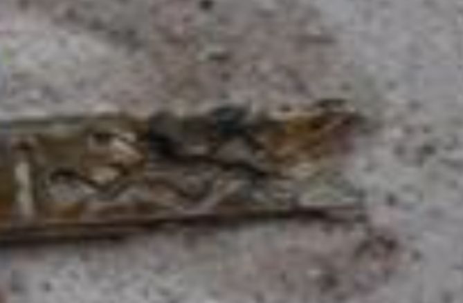 Screenshot 20251030-075248