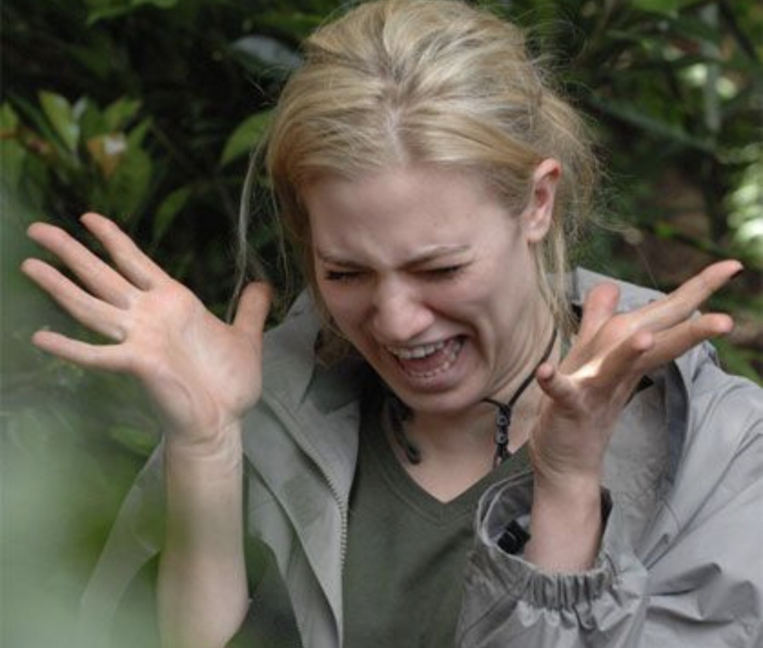 Screenshot 20260129 212328 Chrome